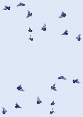 Naklejka premium 鳥