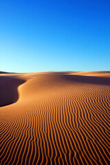 Rippled sand in the desert dunes under a clear blue sky.