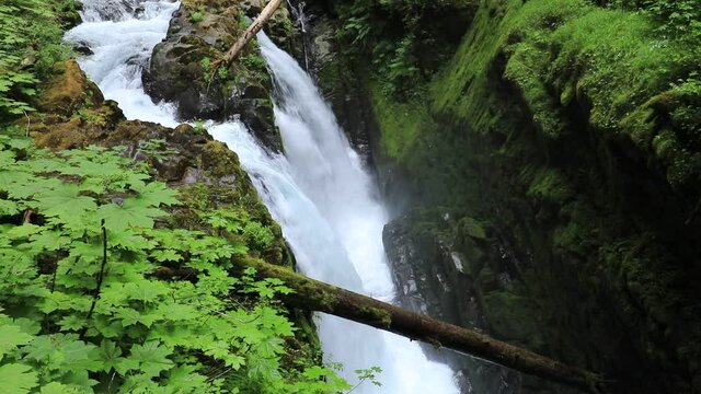 Sol Duc Falls is a beautiful  falls that falls into three or four channels  in the old growth forest Olympic National Park.