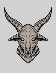 illustration goat head on white background