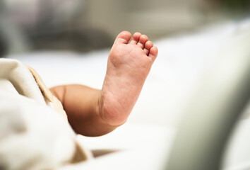 A newborn baby's foot