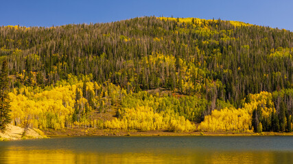 Colorado Fall Foliage