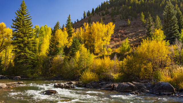 Colorado Fall Foliage