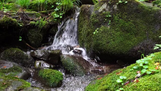 The sound of water flowing through the beautiful green moss valley