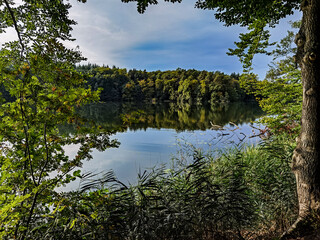 lake and trees