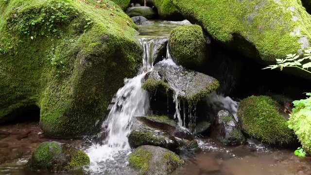 The sound of water flowing through the beautiful green moss valley