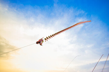 Playing dragon kite on holidays