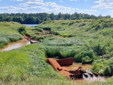 Overgrown and rusting remnants of a barge (Kotelnich, Kirov Region, Russia)