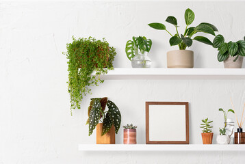 Blank frame on plant shelf home decor ideas