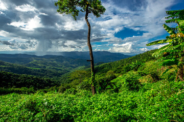Obraz premium Natural high angle panoramic background With an atmosphere surrounded by mountains and trees, with a blurred wind, cool