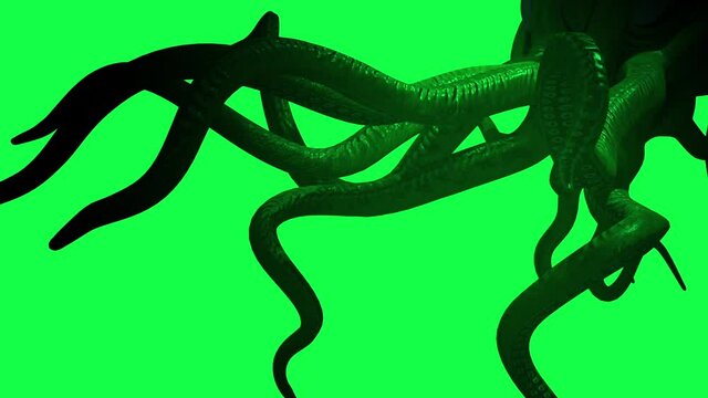  Animation of Monster Octopus with Tentacles on green screen