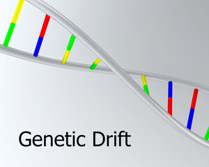 Genetic Drift concept © hafakot