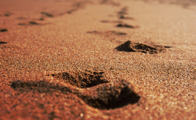 Golden sand on sunny beach