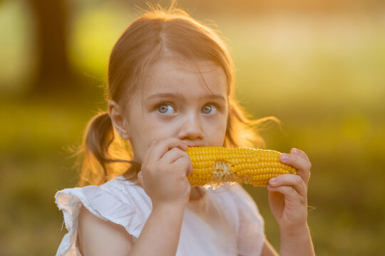 Young Funny Girl Eating A Boiled Corn. Child In The Garden, Girl Eating Corn On The Cob, GMO Free Food. Kids Eat Fruit Outdoors. Healthy Snack For Children. Summer Concept. High Quality Photo