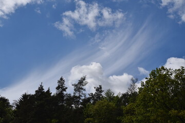 Priesendorf - Bayern - Deutschland - Wolkenschleier über einem Wald