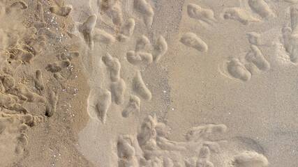 Footprints on the sandy beach and the sun is going down