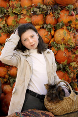 elegant girl with yorkie in basket on wall background with organic autumn pumpkins