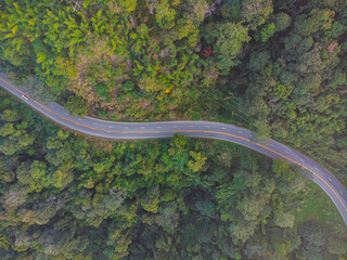 Aerial view asphalt rural road through green tree forest in mountain