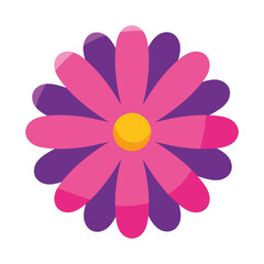 colorful flower icon