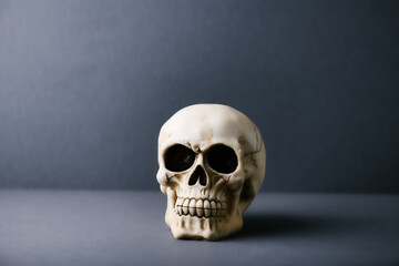 Skull on paper background. Copy space. 