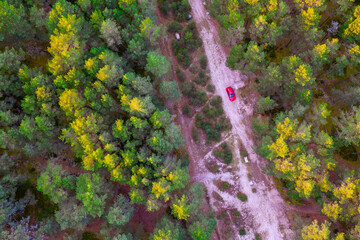Aerial view from drone of road leading through autumn forests and red highlighted car and groves in yellow green colors. Dense forest in golden time in fall season. Roadway among colorful treetops 