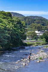 静岡県伊豆市　狩野川の鮎釣り