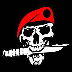 skull and crossbones on black background