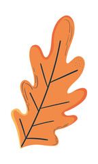 oak leaf icon