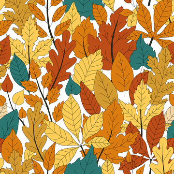 Fall leaves vector pattern. Autumn seamless print with forest foliage. Doodle cozy pattern. Abstract fall leaf. Collage maple and oak leaves print.