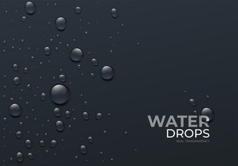 Realistic Water Drops on Black Background, Real Transparent Effect. Vector illustration