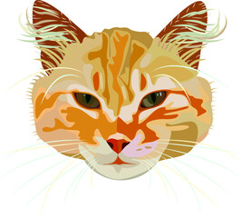 Vector ginger cat. Portrait of a cat. Colorful cat head icon.
