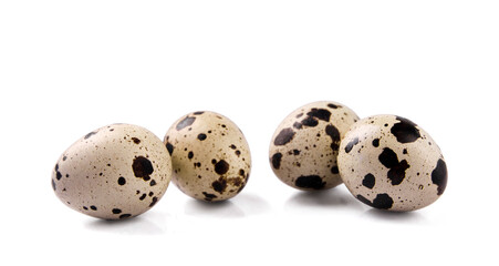 quail egg isolated on white background