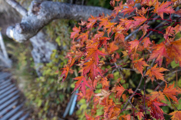 石鎚山（愛媛県）