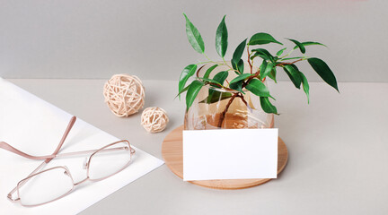 On a gray background, gold-rimmed glasses, a plant in a vase and a blank white card with a place to insert text. Business template. Mockup