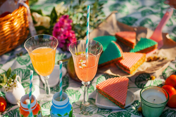 Summer picnic. Waffles, yogurts, fruits, wine in glasses, and basket on a plaid.