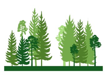 Forest silhouette scene. Landscape with coniferous trees. Beautiful green view. Pine and spruce trees. Summer nature. Isolated illustration vector - obrazy, fototapety, plakaty