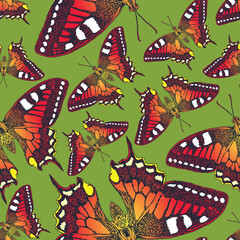 vector image of seamless texture with butterflies
