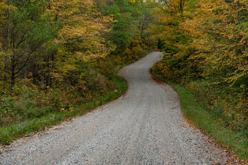 Wavy Road with Autumn Showing in the Fall Leaves