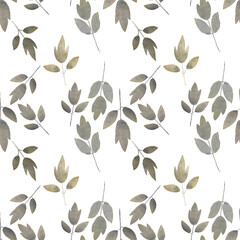 Endless no background pattern peony leaves green gradient hand drawn watercolor