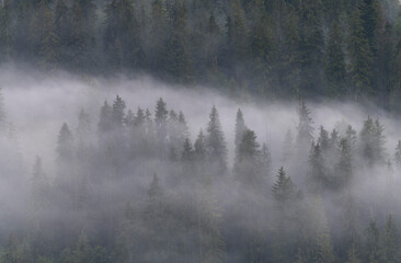 Morning mists on the Podhale slope. Mountain landscape. Podhale and Tatra Mountains views