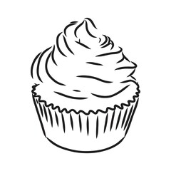 drawing of a cup cake cupcake vector sketch