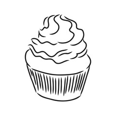 drawing of a cup cake cupcake vector sketch