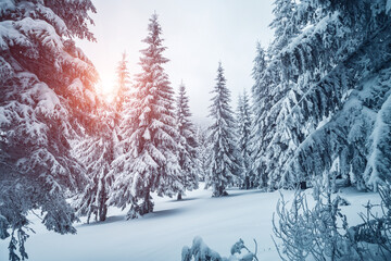 Picturesque view of snow-capped spruces on a frosty day.