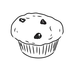 drawing of a cup cake cupcake vector sketch