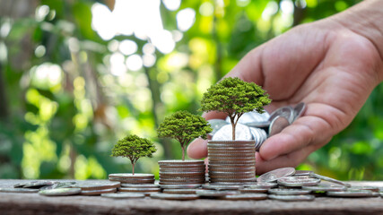 Plant trees on coins or money according to the concept of money growing and environmental investment.
