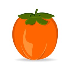 Persimmon, vector illustration isolated on a white background. A concept for stickers, posters, postcards, websites