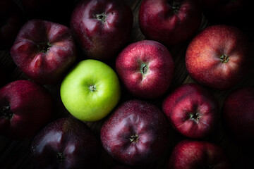 One green fresh apple with dark red apples.  yound and old.