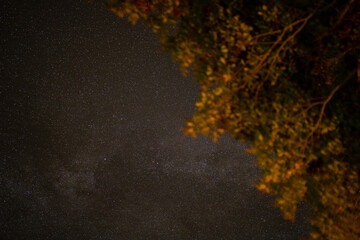 紅葉の時期に宮城県栗原市、秋田県湯沢市、雄勝郡東成瀬村、岩手県一関市にある栗駒山近くで星空を撮影した風景 Starry skies near Mt. Kurikoma in Kurihara City, Miyagi Prefecture; Yuzawa City, Akita Prefecture; Higashinaruse Village, Ogatsu County; and Ichino