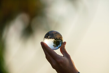Holding glass ball. A tree reflected in a crystal ball at sunset. Sri Lanka.