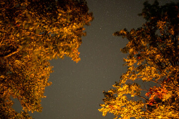 紅葉の時期に宮城県栗原市、秋田県湯沢市、雄勝郡東成瀬村、岩手県一関市にある栗駒山近くで星空を撮影した風景 Starry skies near Mt. Kurikoma in Kurihara City, Miyagi Prefecture; Yuzawa City, Akita Prefecture; Higashinaruse Village, Ogatsu County; and Ichino